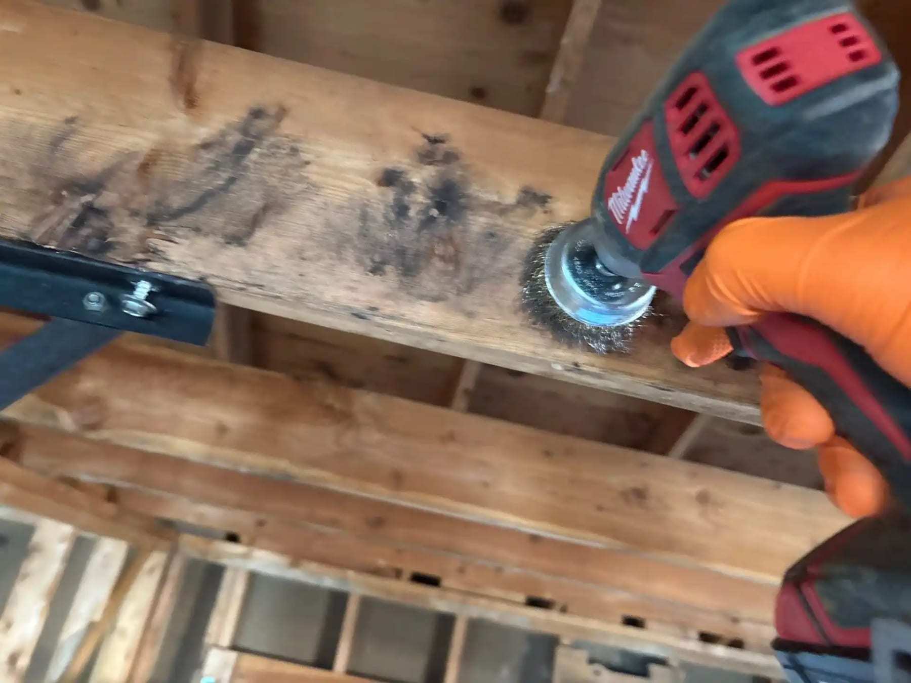 Wire brush on a drill cleaning mold staining from a floor joist